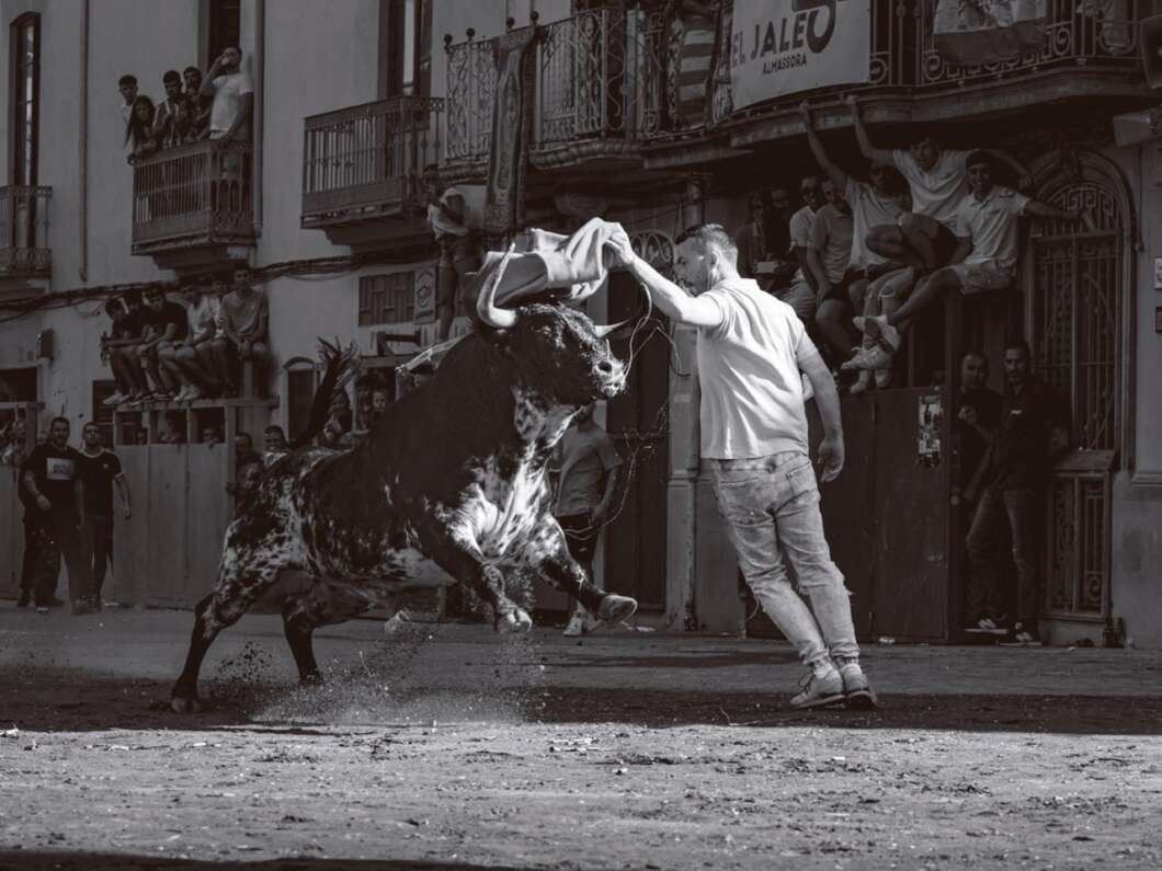 Almassora, exhibirá, toros