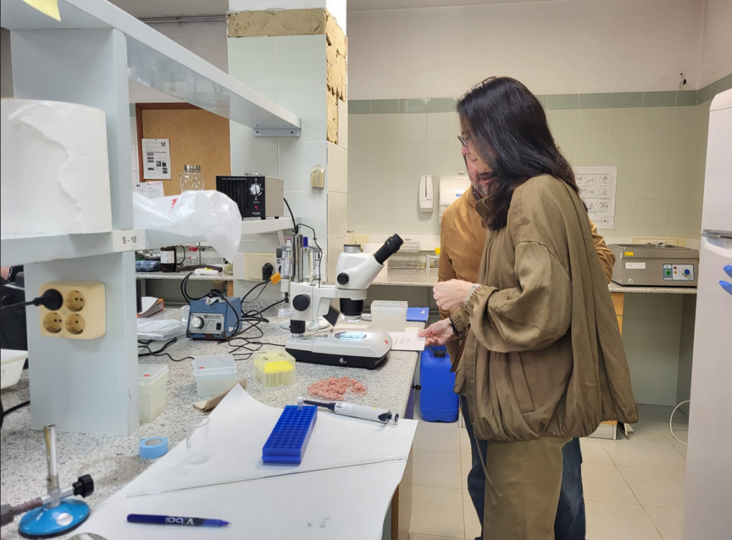 Centro Salud Castellon