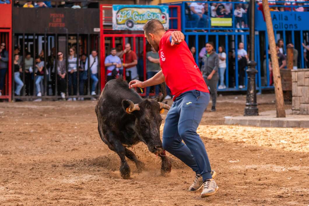 Pascua Taurina L'Alcora