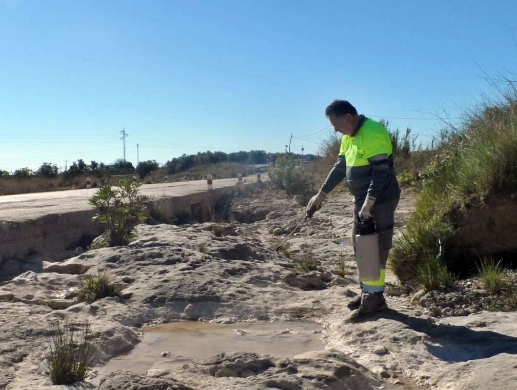 Vinaros, campaña, mosquitos
