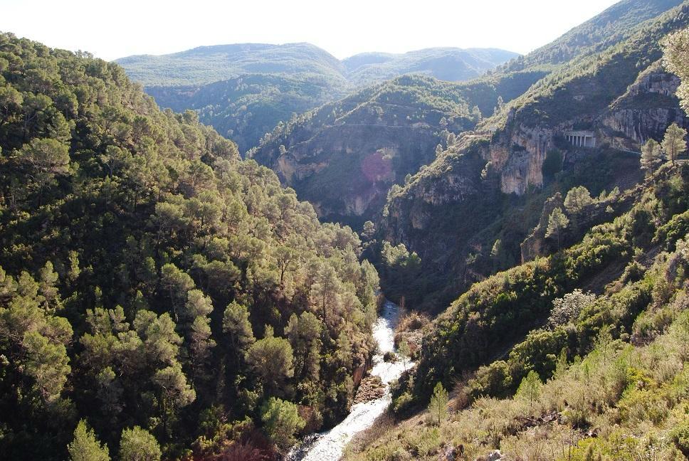 La Generalitat prohíbe el uso del fuego en zonas forestales del 2 al 13 de abril