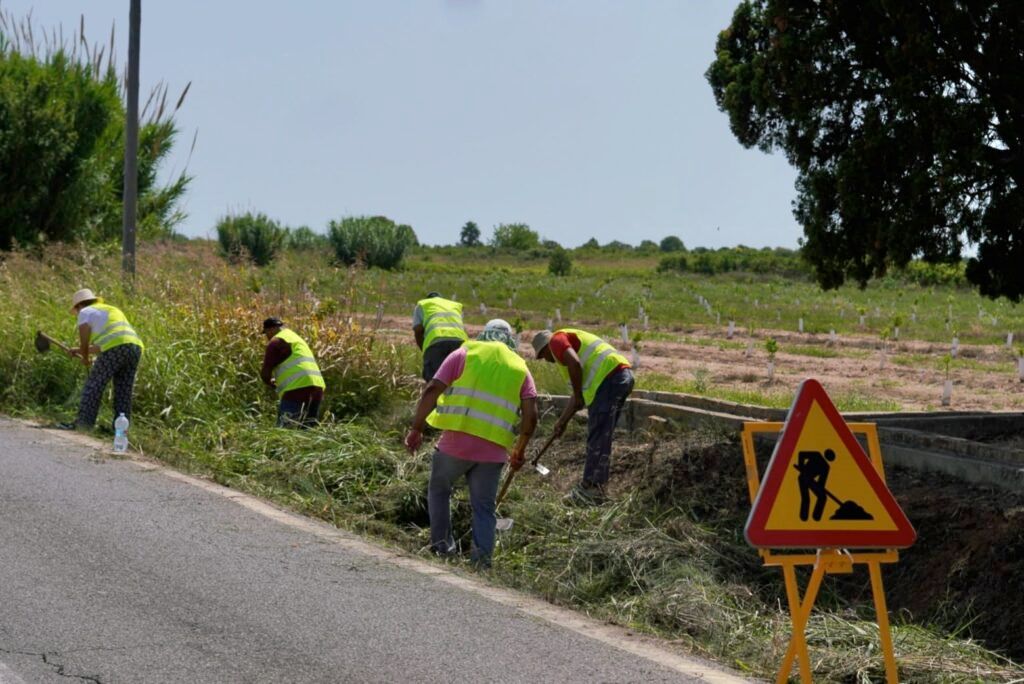 Burriana impulsa l’ocupació agrària amb 236.830 euros per a 2026