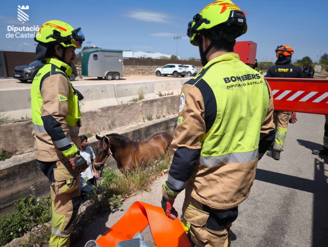 Rescatan a un caballo atrapado en una acequia en Burriana