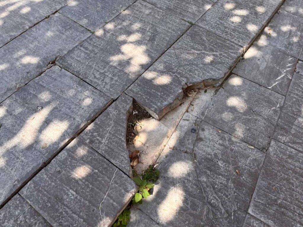 Compromís denuncia el deteriorament de l’Espai d’Art Contemporani de Castelló