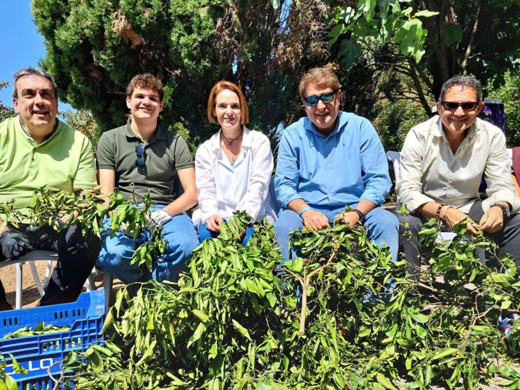Castellón celebra l’Enramà como preludio de las fiestas de la Mare de Déu del Lledó