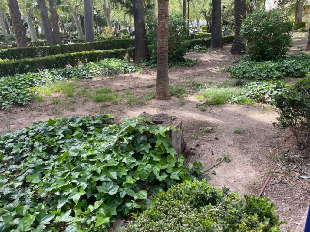 Compromís alerta de la degradació del parc Ribalta i exigeix una actuació urgent