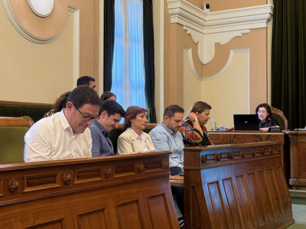 Pleno Castellón 300426