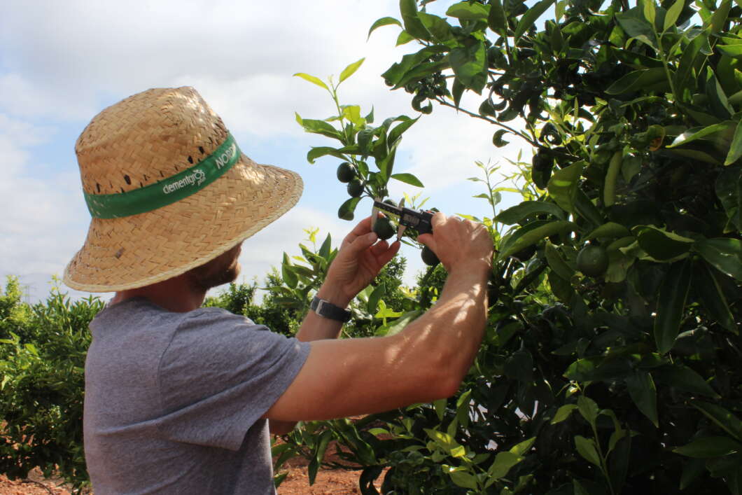 La Unió exige más fondos para incluir a 41 jóvenes excluidos de las ayudas agrarias