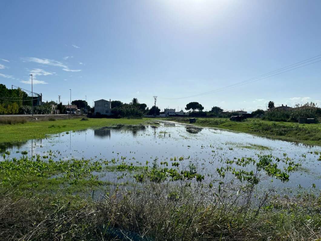 El PSPV exigix més fons i acció conjunta contra els mosquits a Castelló