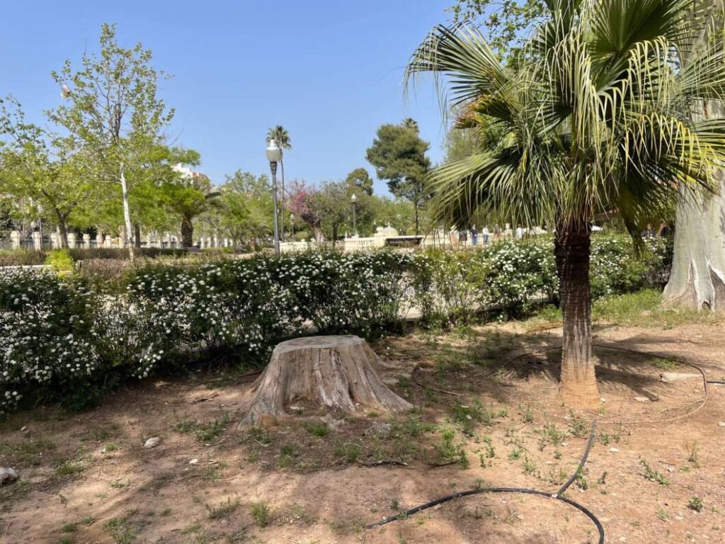Compromís alerta de la degradació del parc Ribalta i exigeix una actuació urgent