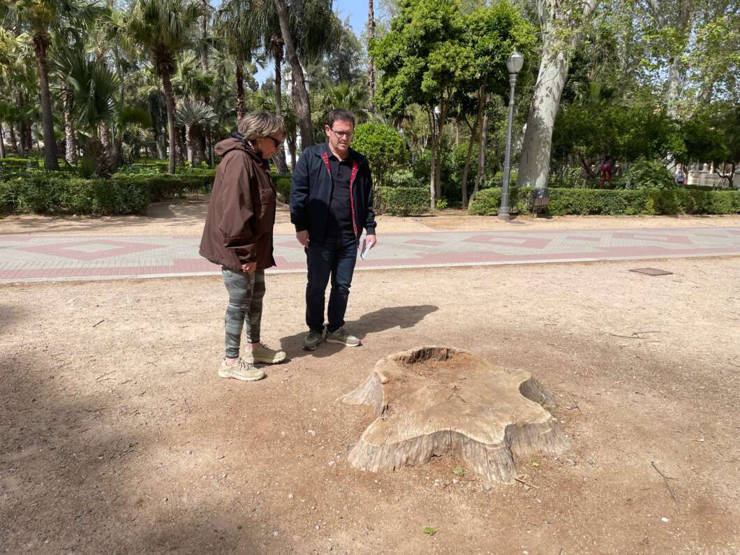 Compromís alerta de la degradació del parc Ribalta i exigeix una actuació urgent