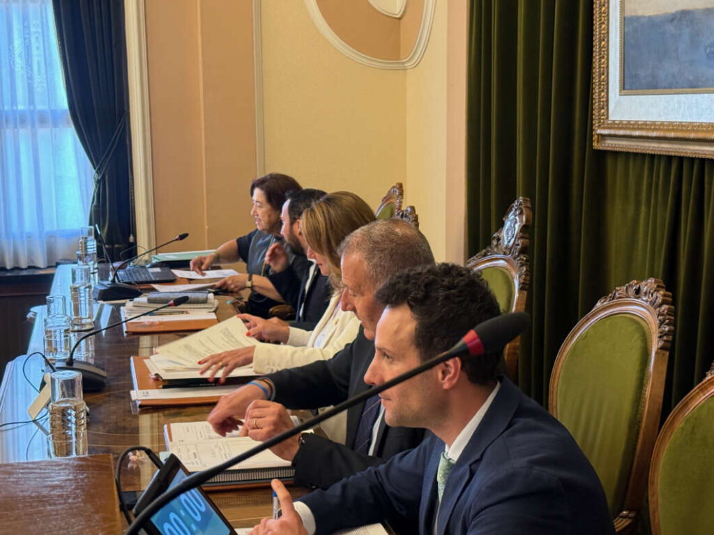 Pleno Castellón 300426