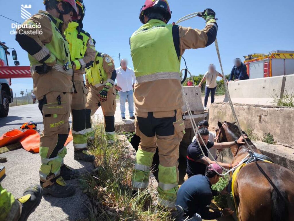 Rescatan a un caballo atrapado en una acequia en Burriana