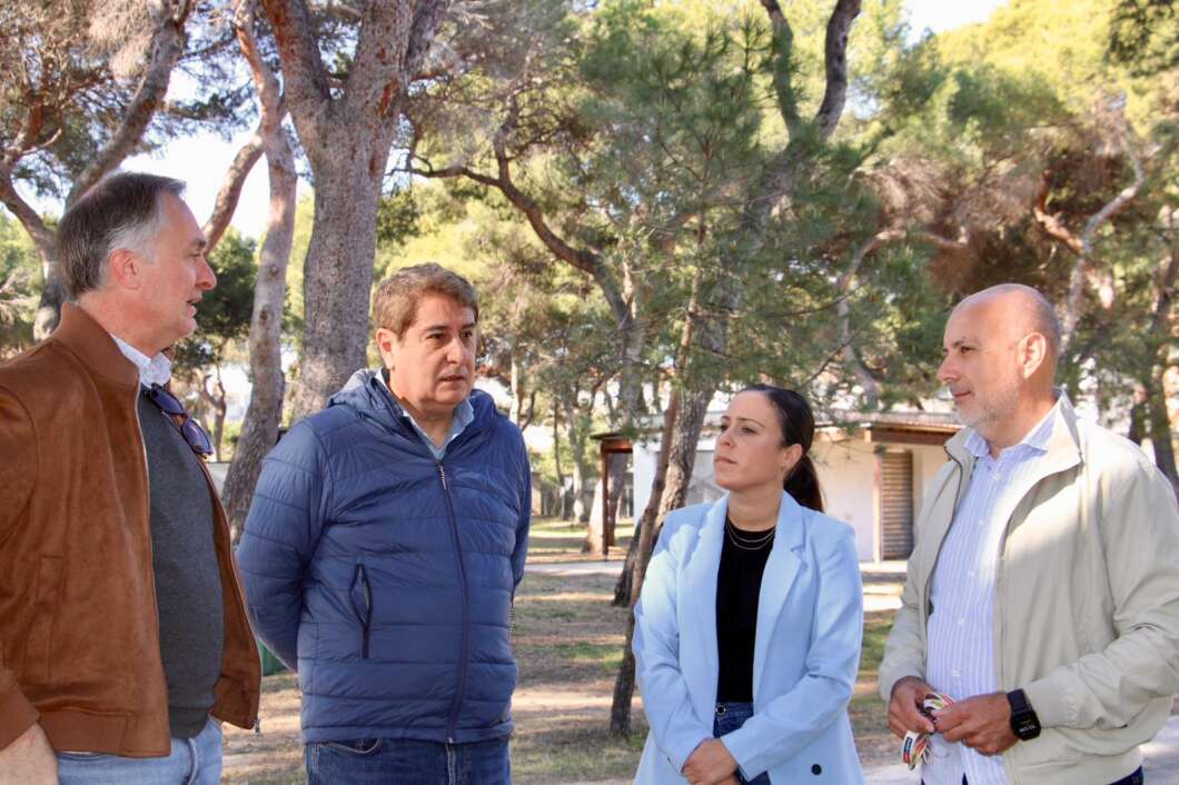 Replantación de pinos en el Pinar de El Grau de Castellón, 2026
