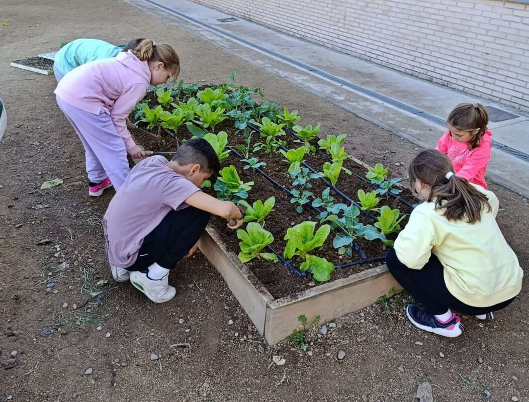 Ecoescoles, Vinaros, 2026