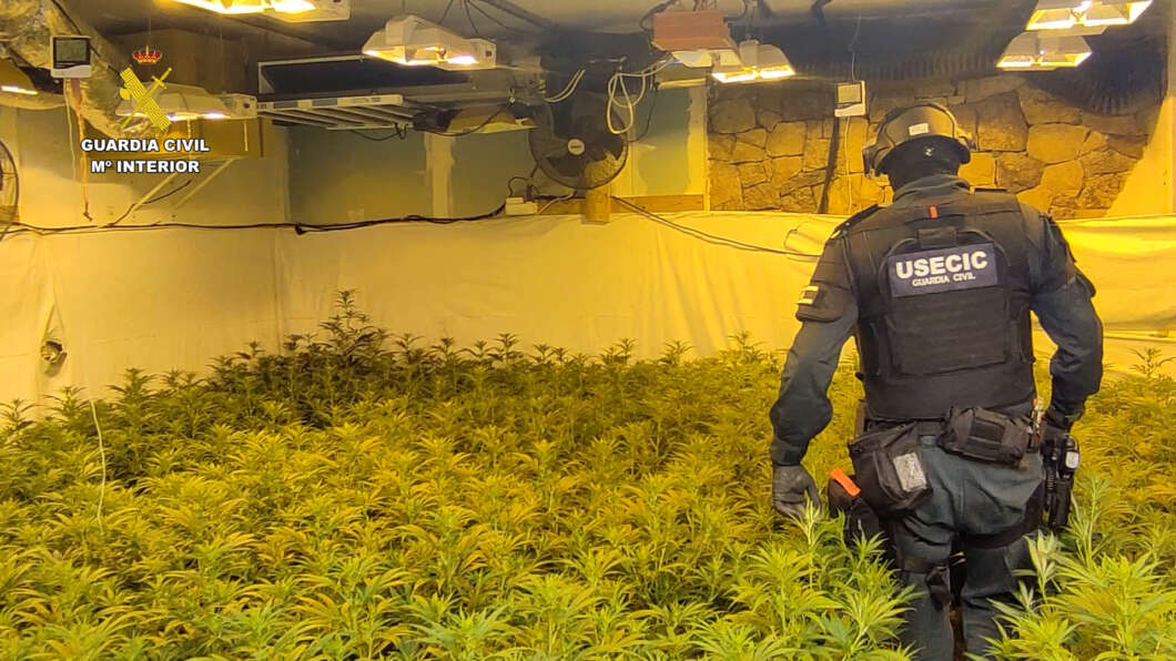 Plantacion Indoor Castellon 1