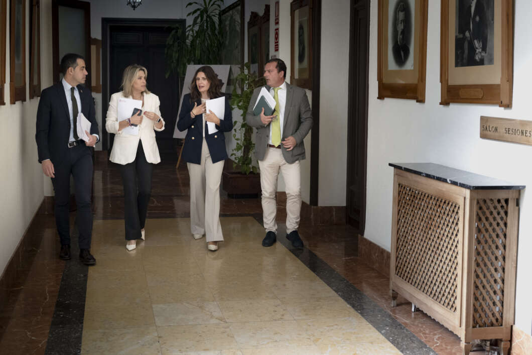 Vicepresidenta Dputación