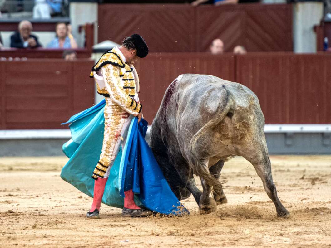 À Punt retransmet dos corregudes de Las Ventas amb rejoneig i els bous d’Adolfo Martín