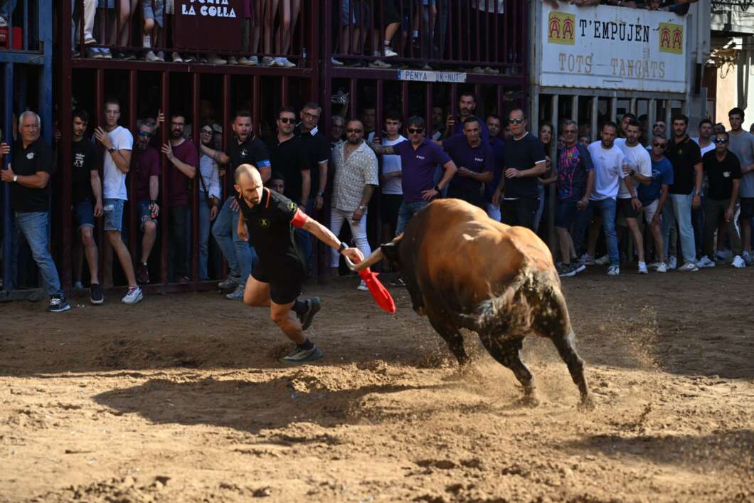 Bous Almassora