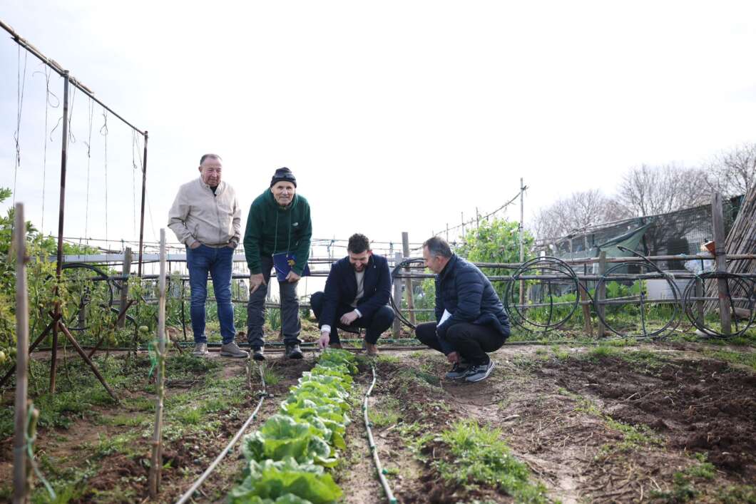 Burriana millora els Horts d’Oci per impulsar l’envelliment actiu i l’agricultura tradicional