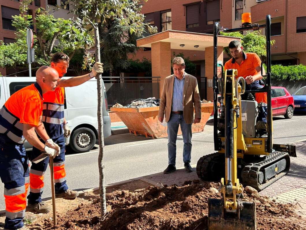Castellón impulsa su renaturalización con más de 2.100 árboles plantados y repuestos