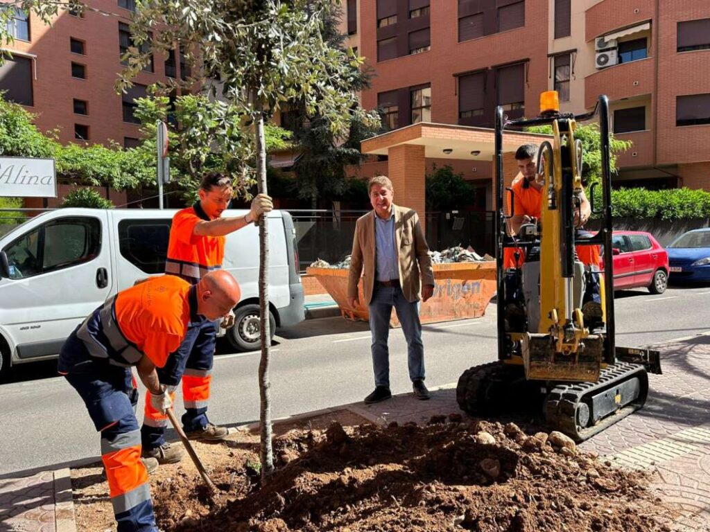 Castellón impulsa su renaturalización con más de 2.100 árboles plantados y repuestos