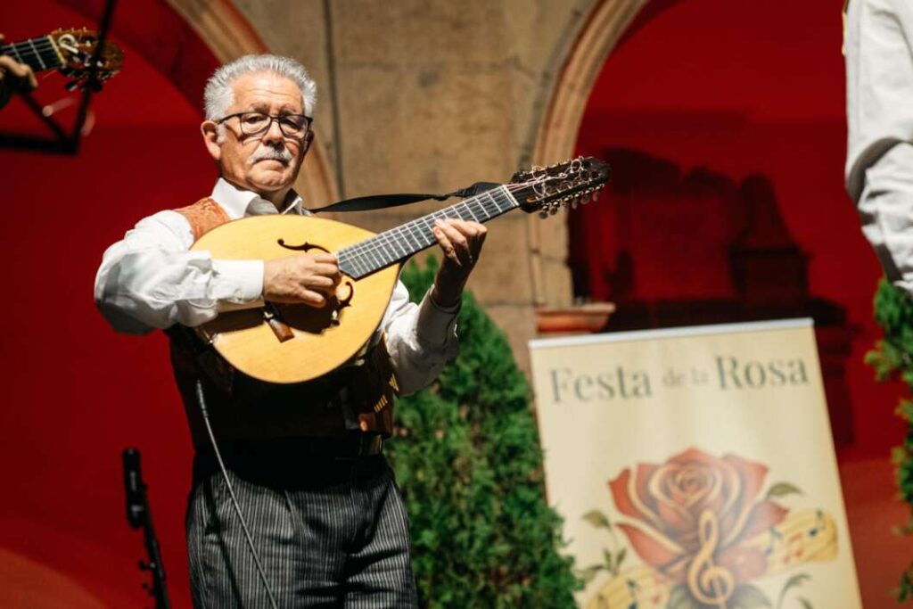 Festa de la Rosa Castellón 2026
