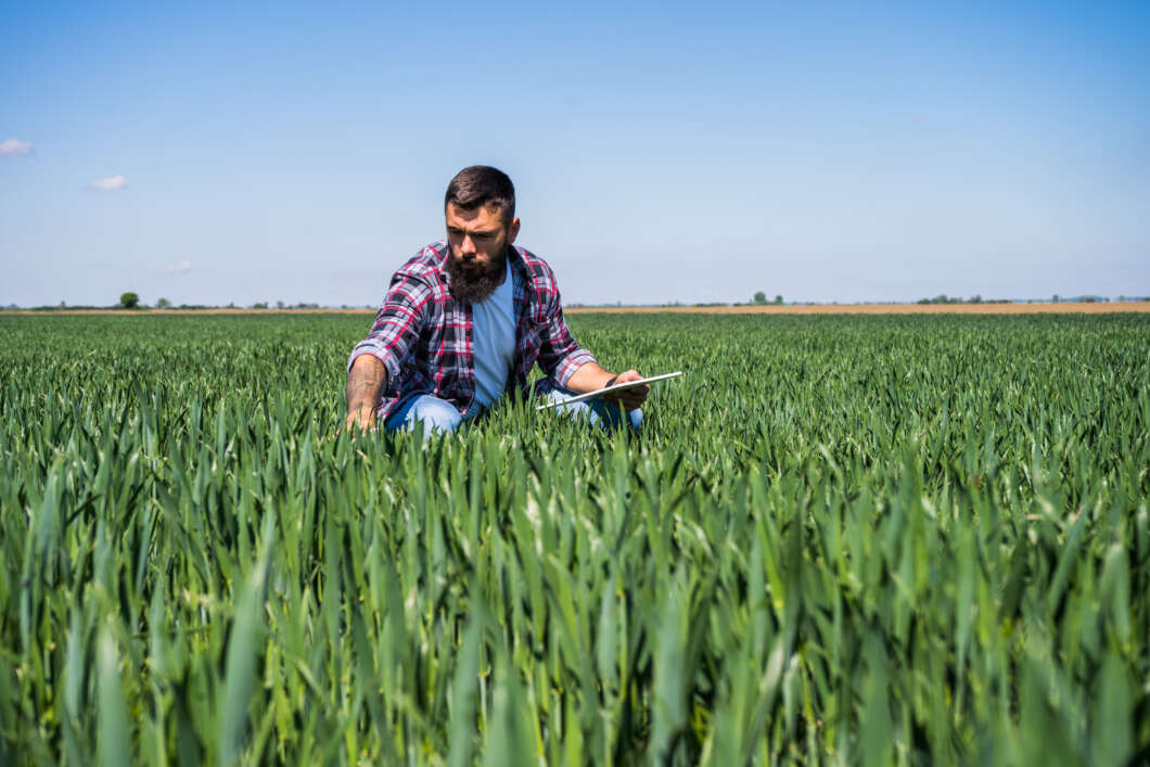 jovenes agricultores, relevo generacional