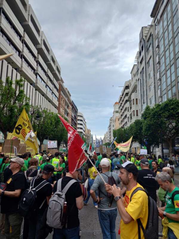 Manifestación en València por la educación pública