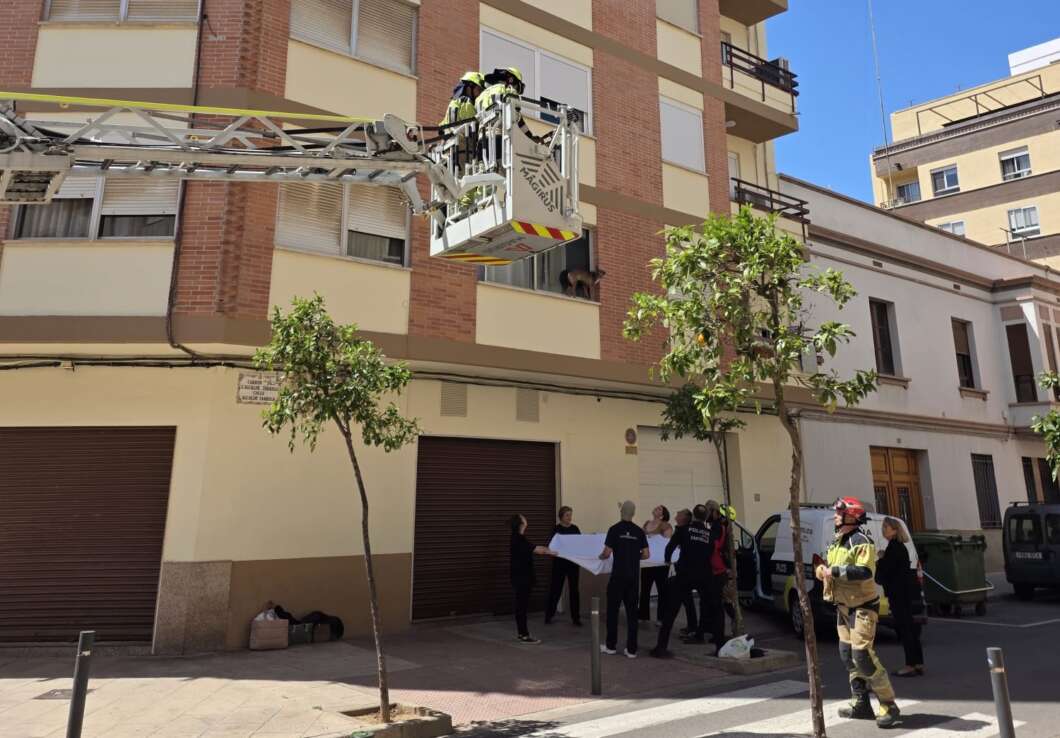 Recatado perro atrapado en una ventana Castellón. 060526