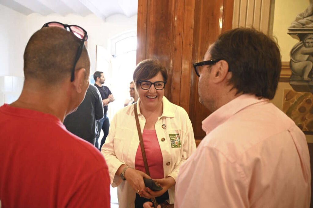 Seguridad. bodeguilla vila-real festes de sant Pasqual 2026