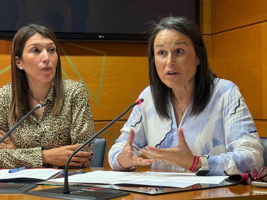 Galí. Crítiques del PSOE al govern de Diputació Castelló 2026