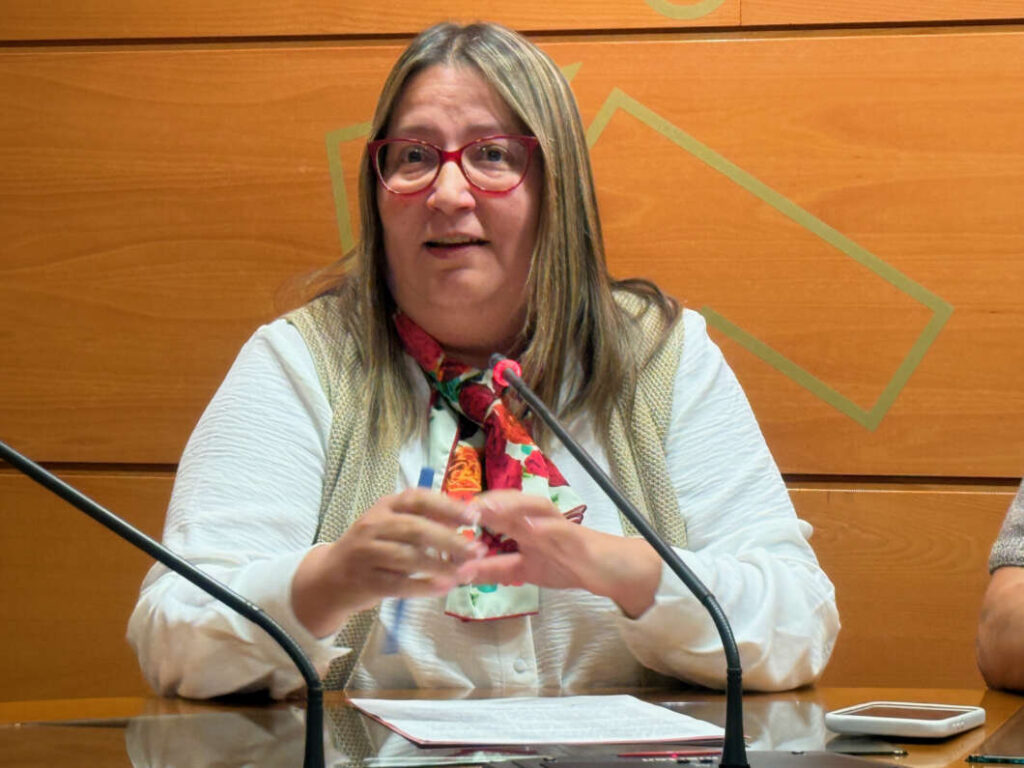 Sanz. Crítiques del PSOE al govern de Diputació Castelló 2026