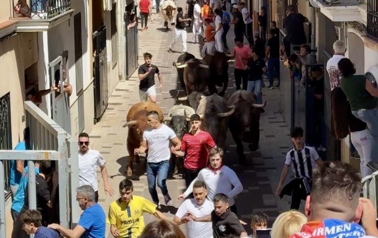 Tancament bous cerrils Santa Quitèria 2026