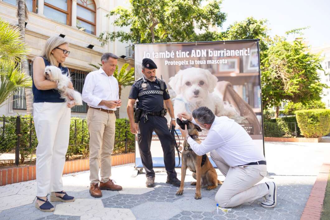Burriana adn perros