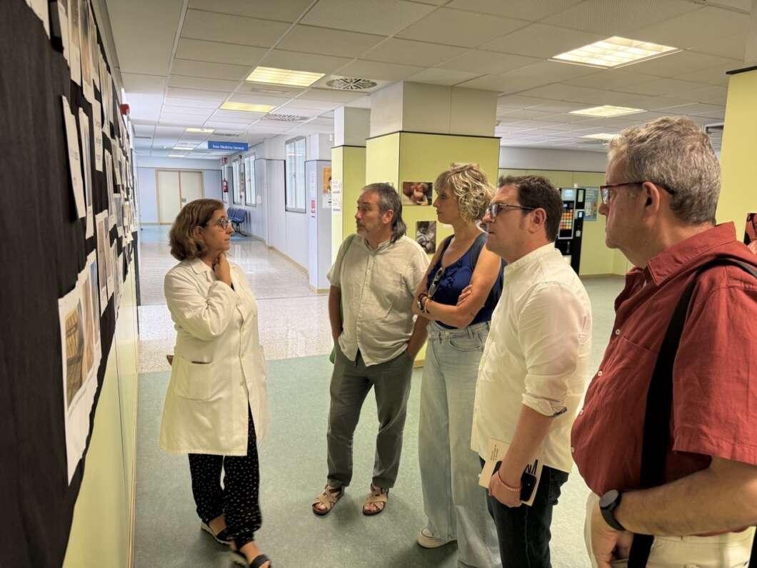 Medical professional in a white coat explains wall displays to five visitors in a hospital corridor.