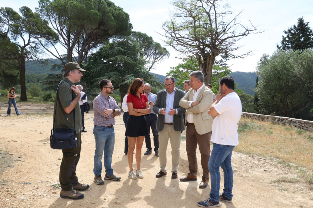 prevención incendios reparación pistas forestales generalitat