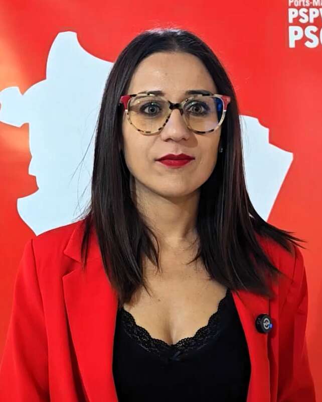 PSPV-PSOE impulsa un pla de mobilitat rural per connectar l’interior de Castelló