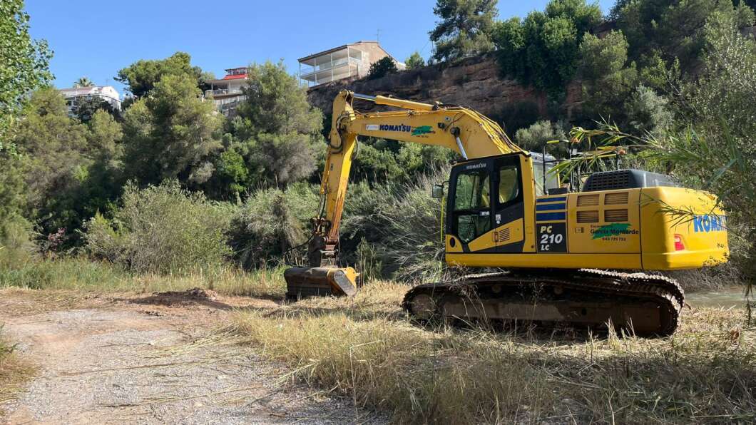 Eliminació canyes Vila-real