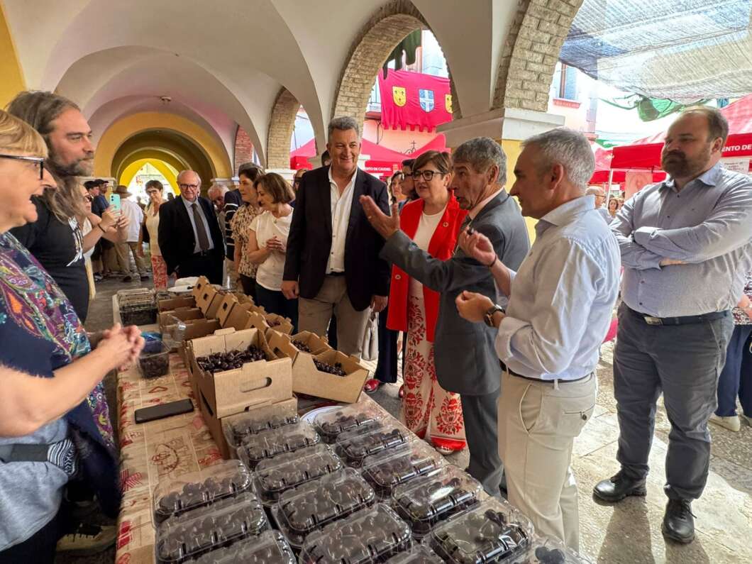 Miguel Barrachina en la Feria de la Cereza de Caudiel
