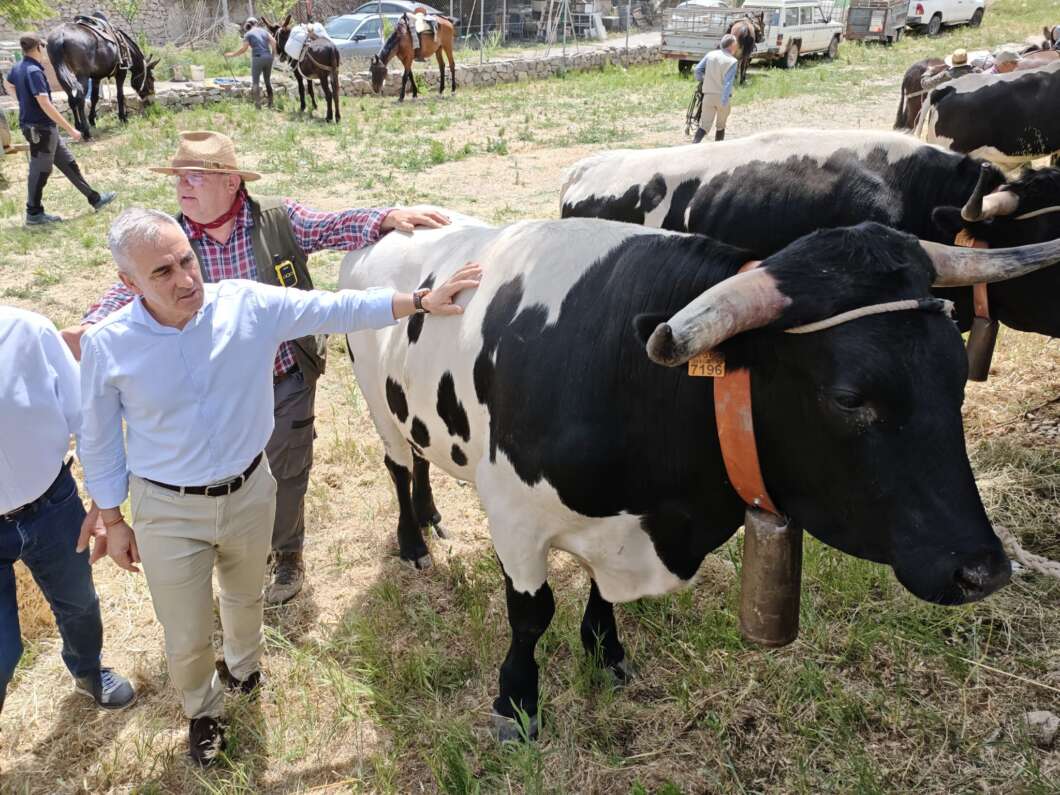 El Consell impulsa la ganadería valenciana con 13,6 millones y nuevas ayudas