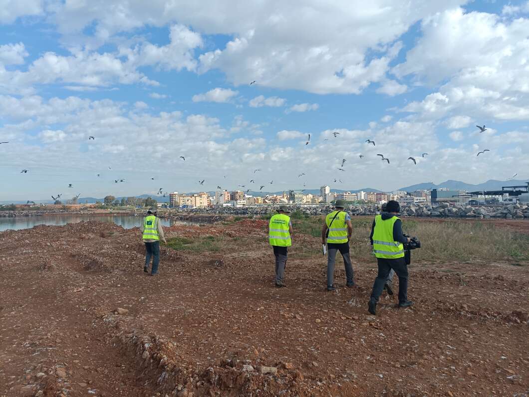 PortCastelló impulsa la conservación de la gaviota Audouin