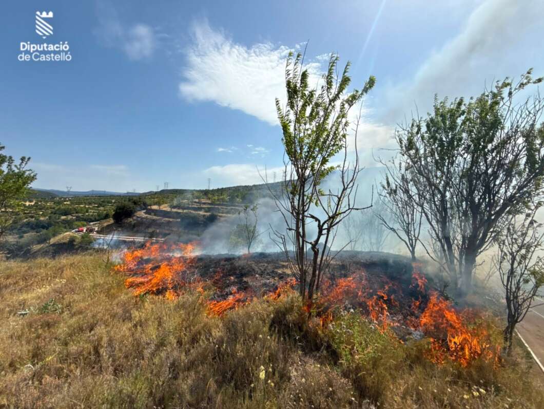 Wildfire ablaze in a dry hillside field with orange flames and rising smoke, trees in foreground, blue sky above.