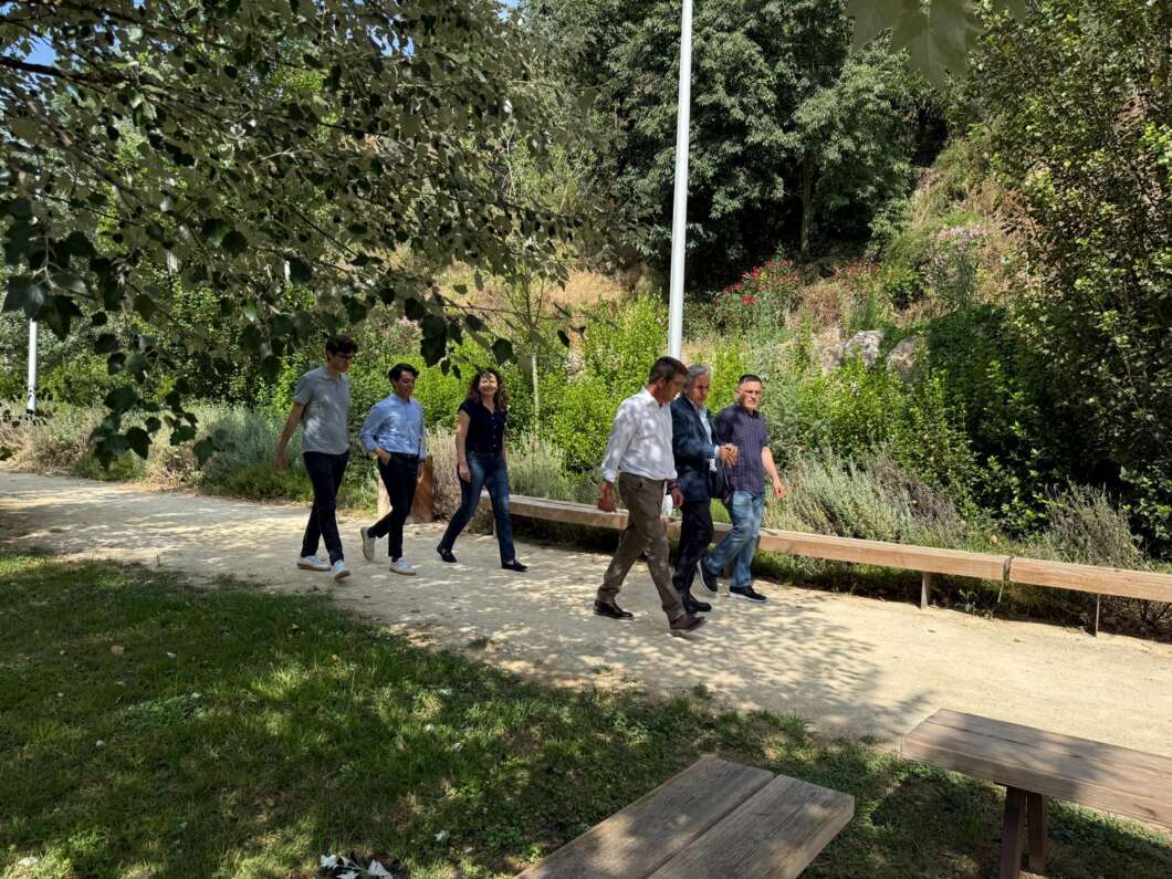 Six people walk together along a gravel park path, with trees and shrubs on both sides and wooden benches nearby on a sunny day.