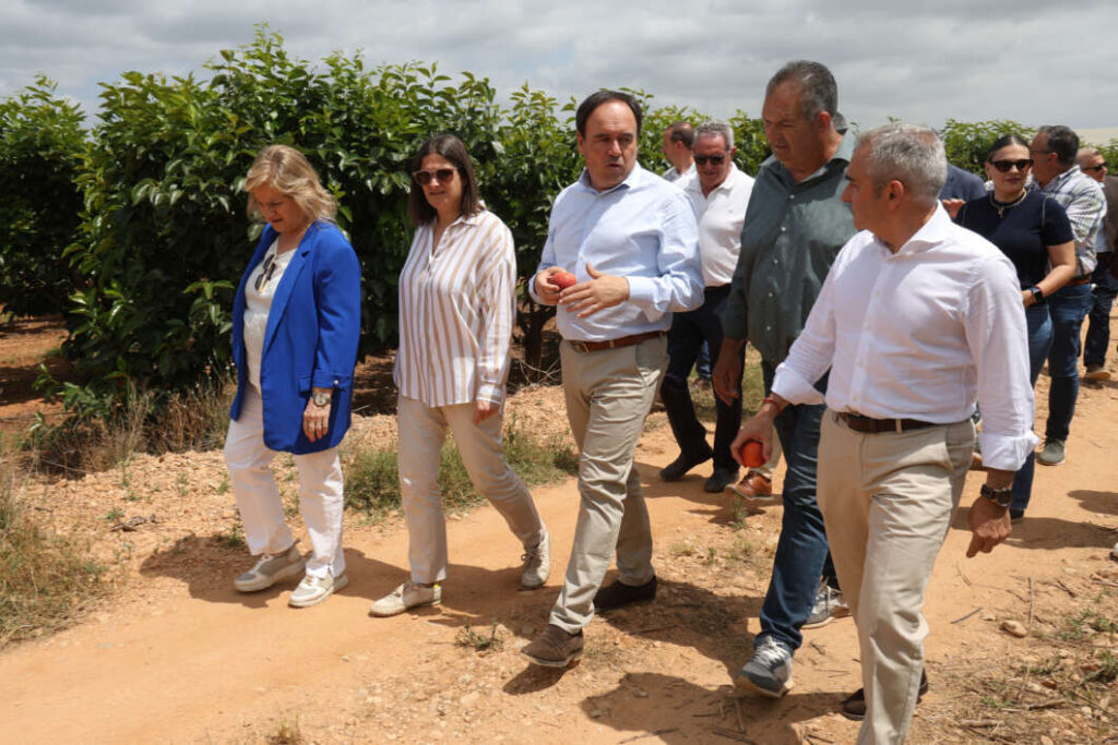 Pérez Llorca activa la mayor ayuda histórica para el campo valenciano