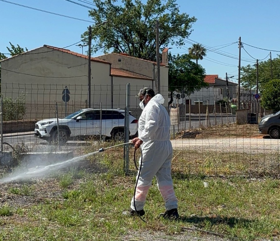 Limpieza de caminos y acequias en el término de Castellón 2026