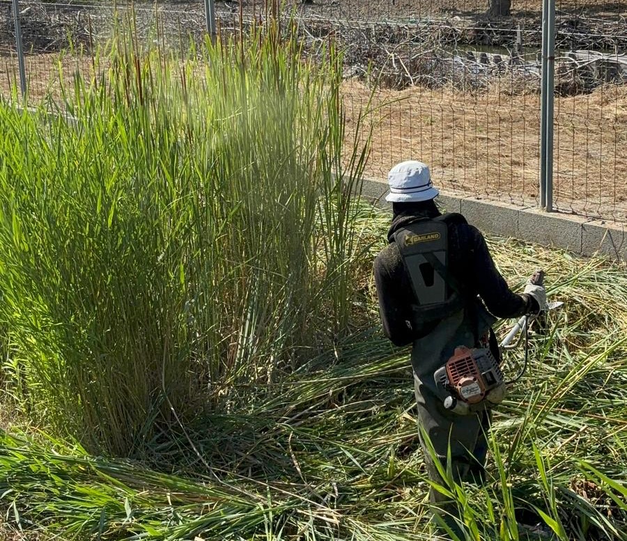 Limpieza de caminos y acequias en el término de Castellón 2026