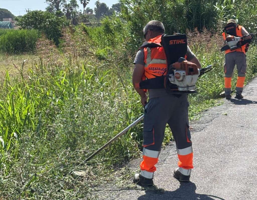 Limpieza de caminos y acequias en el término de Castellón 2026