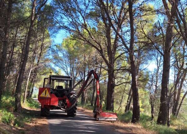 Construction excavator blocking a narrow forest road, warning triangle on the vehicle, under a sunny blue sky with tall trees