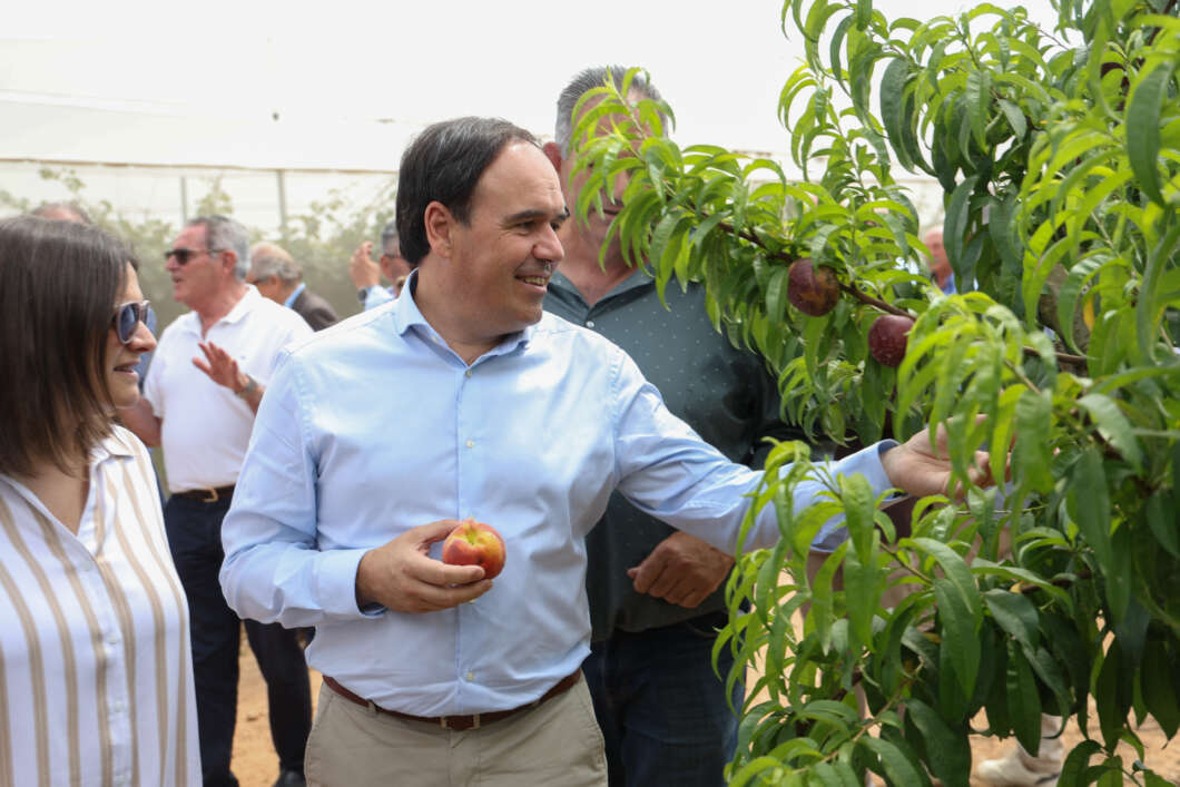 Pérez Llorca activa la mayor ayuda histórica para el campo valenciano